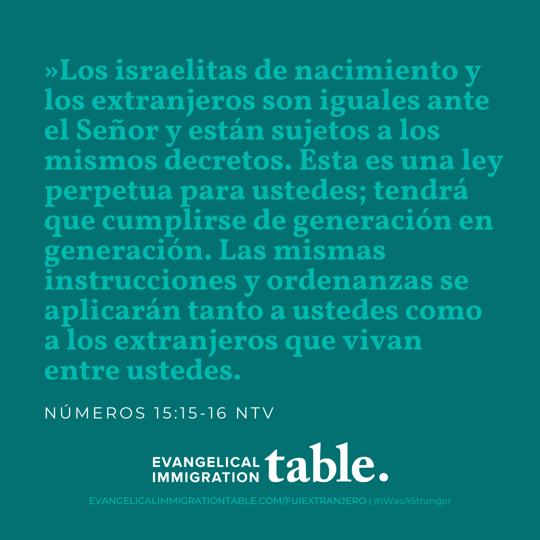 Día 10