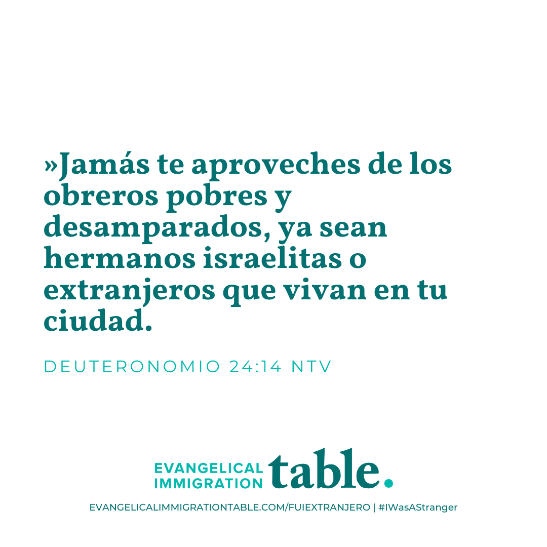 Día 13