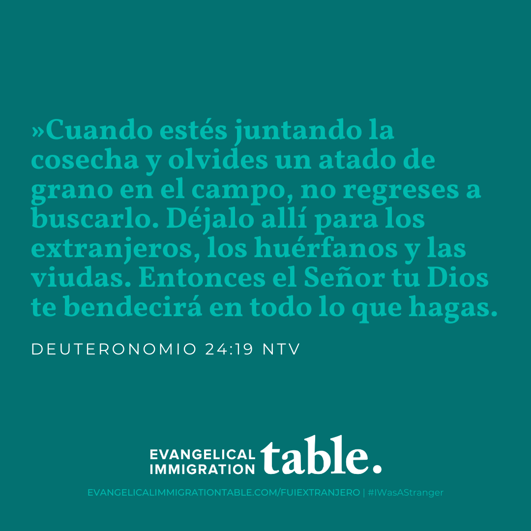 Día 15