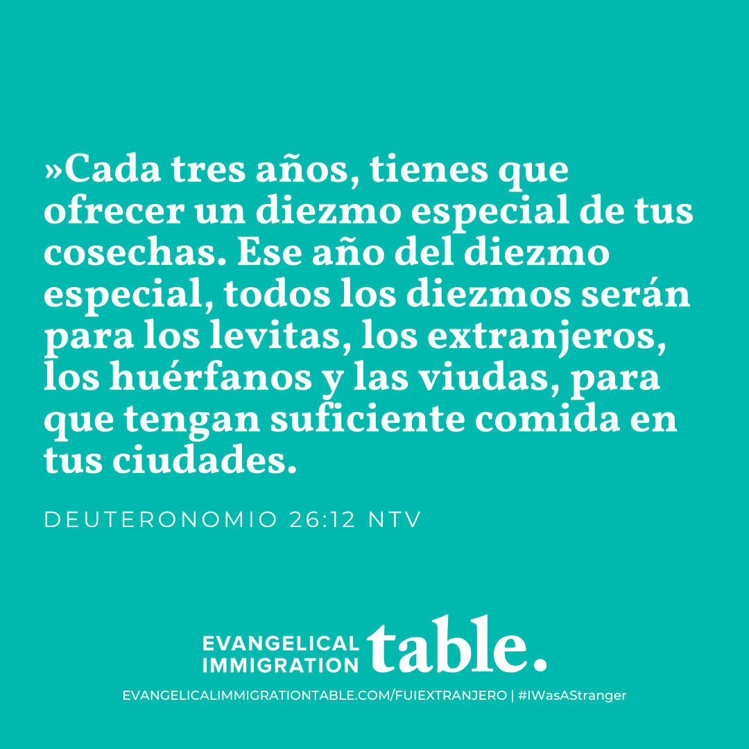Día 16