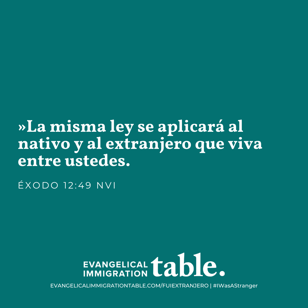 Día 2