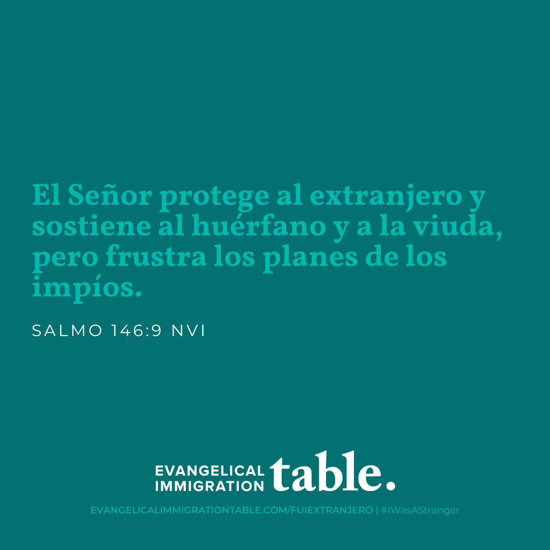 Día 20