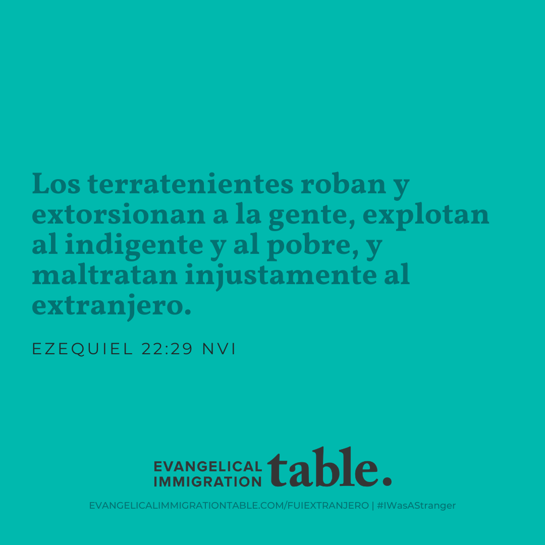 Día 24