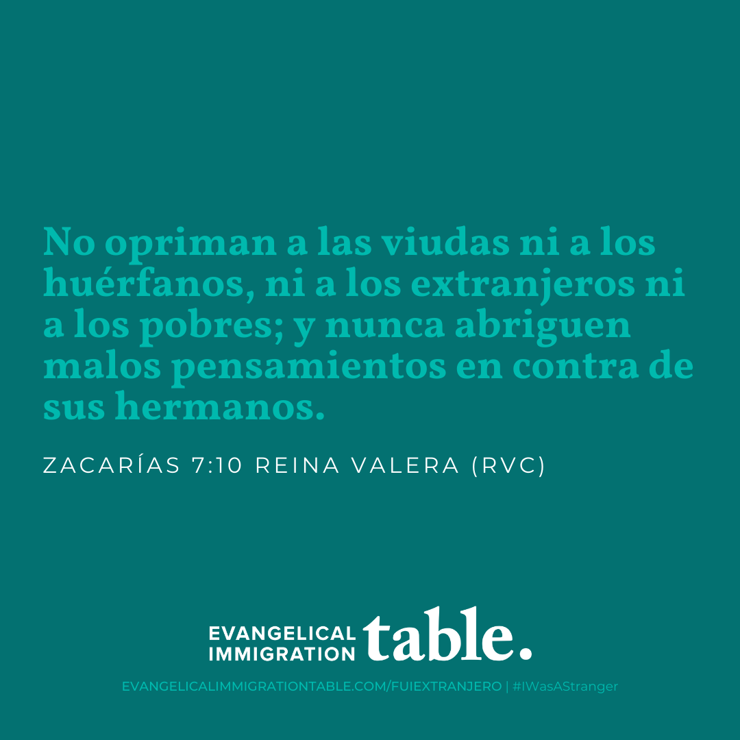 Día 25