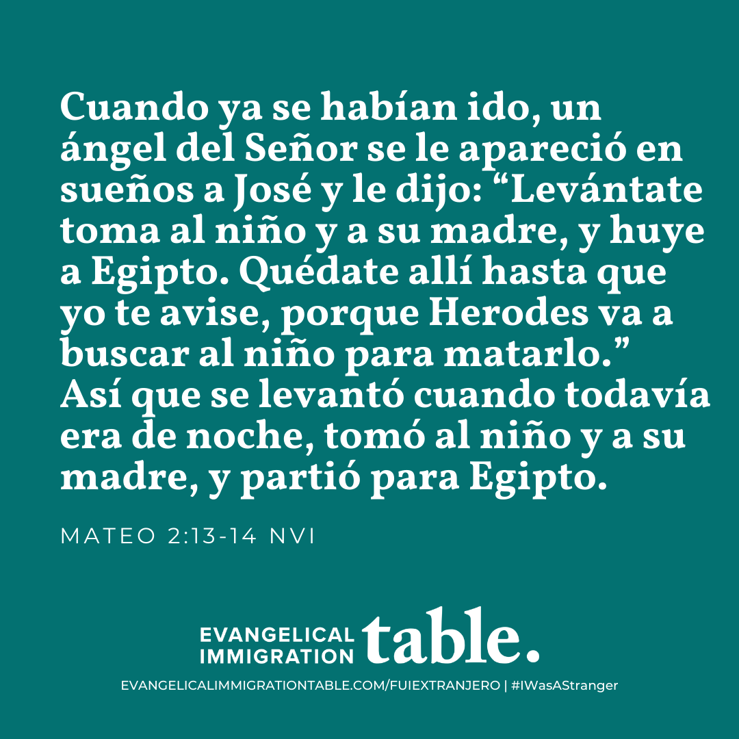Día 27