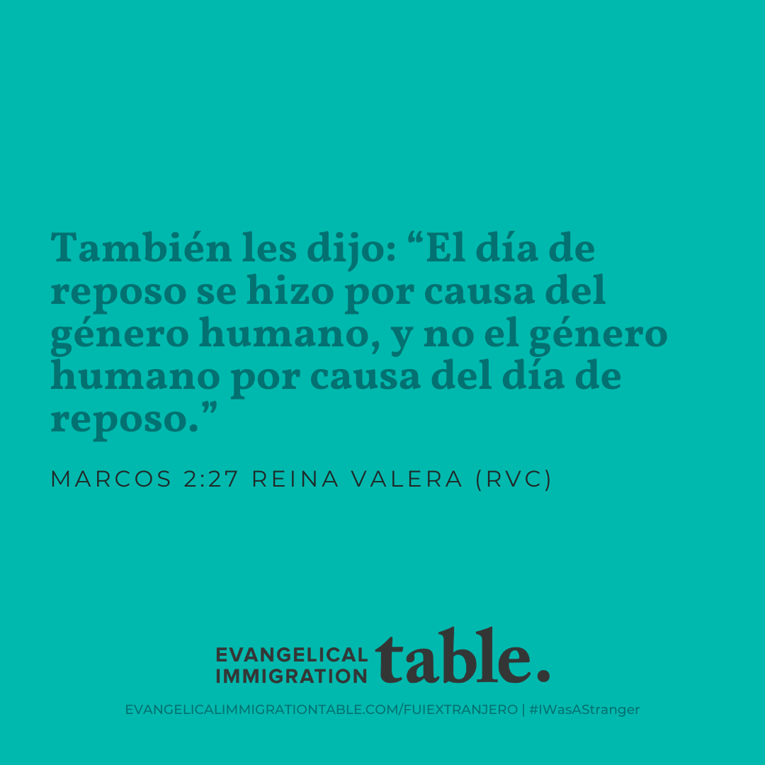 Día 29