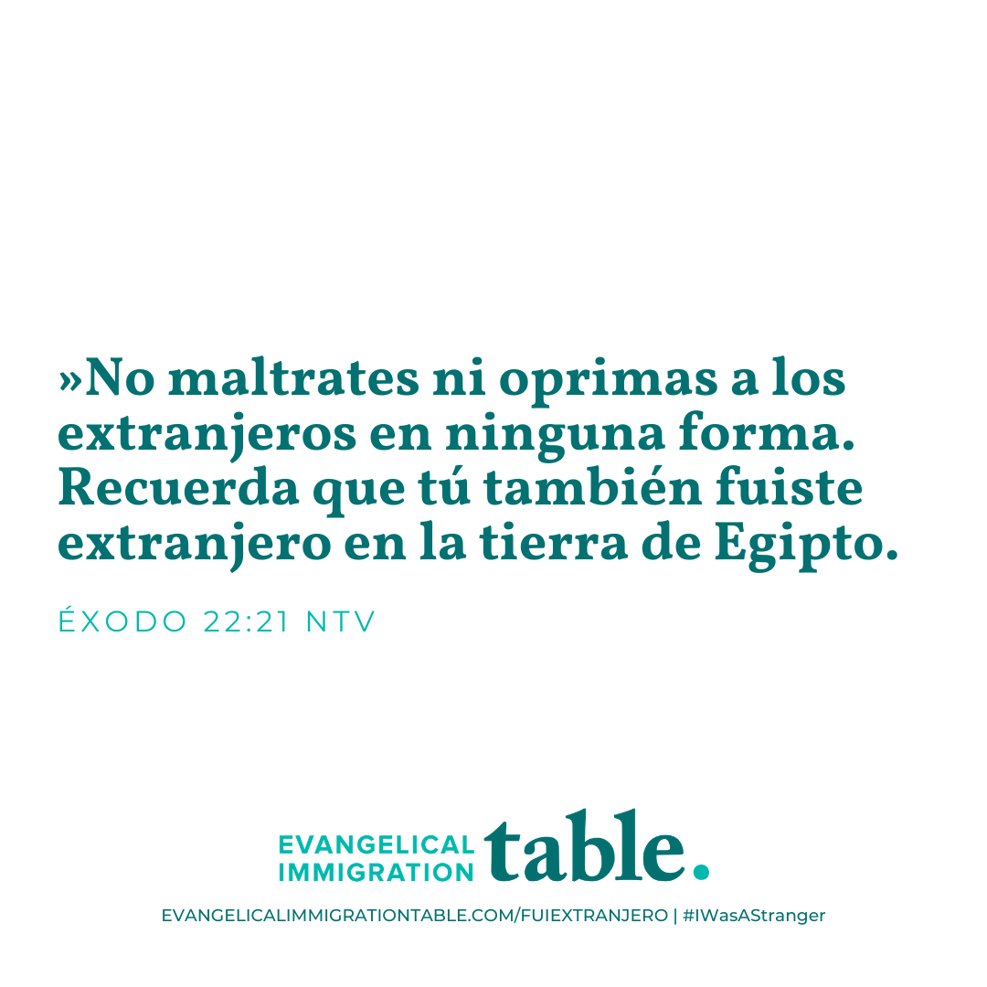 Día 3