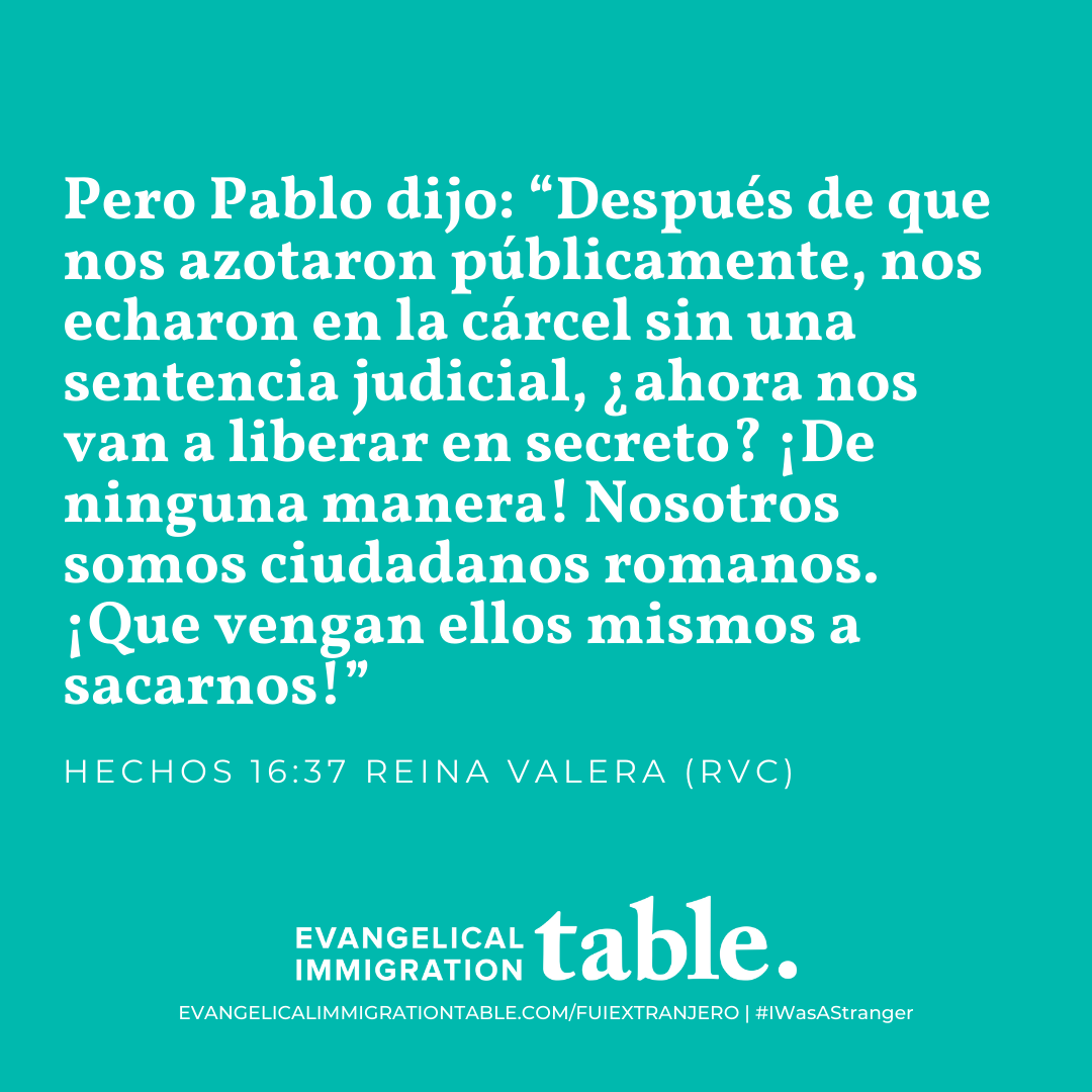Día 31