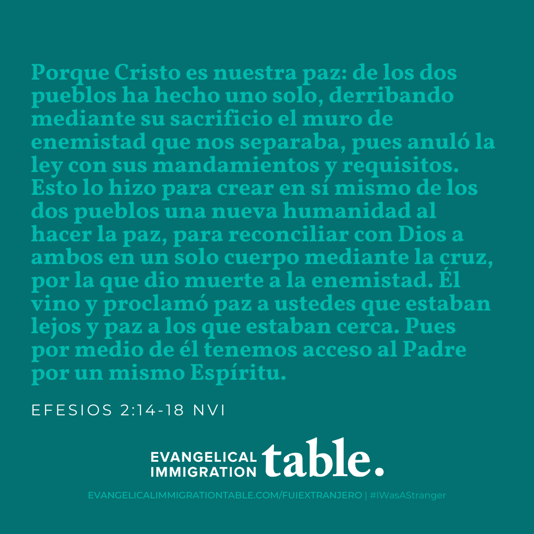Día 35