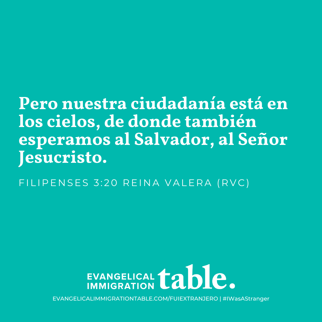Día 36