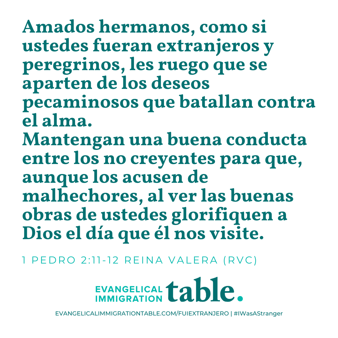 Día 38