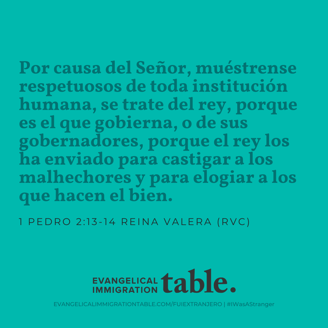 Día 39