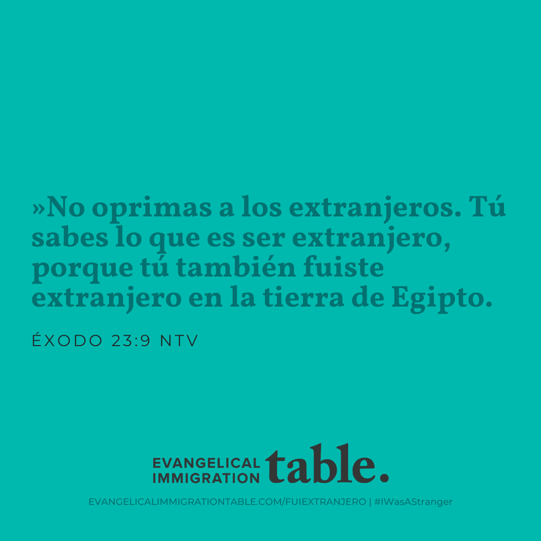 Día 4