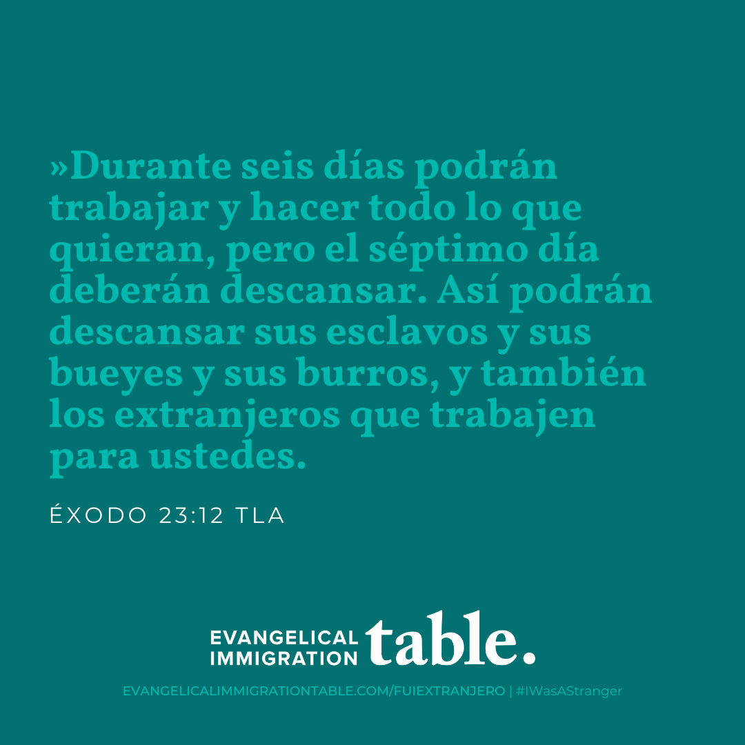 Día 5