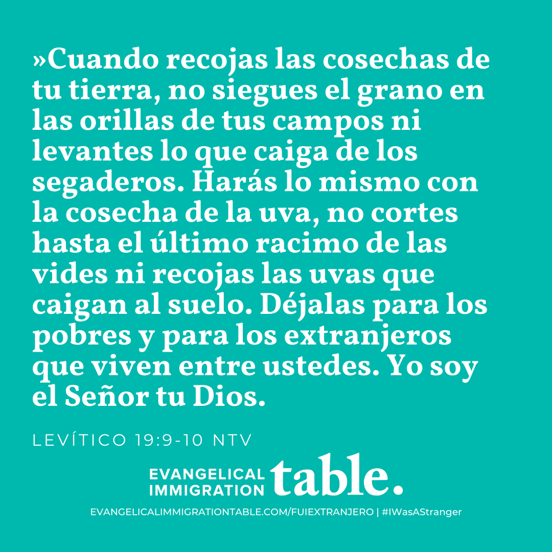 Día 6