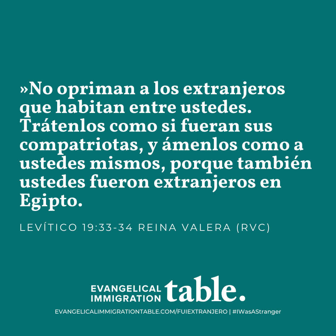 Día 7
