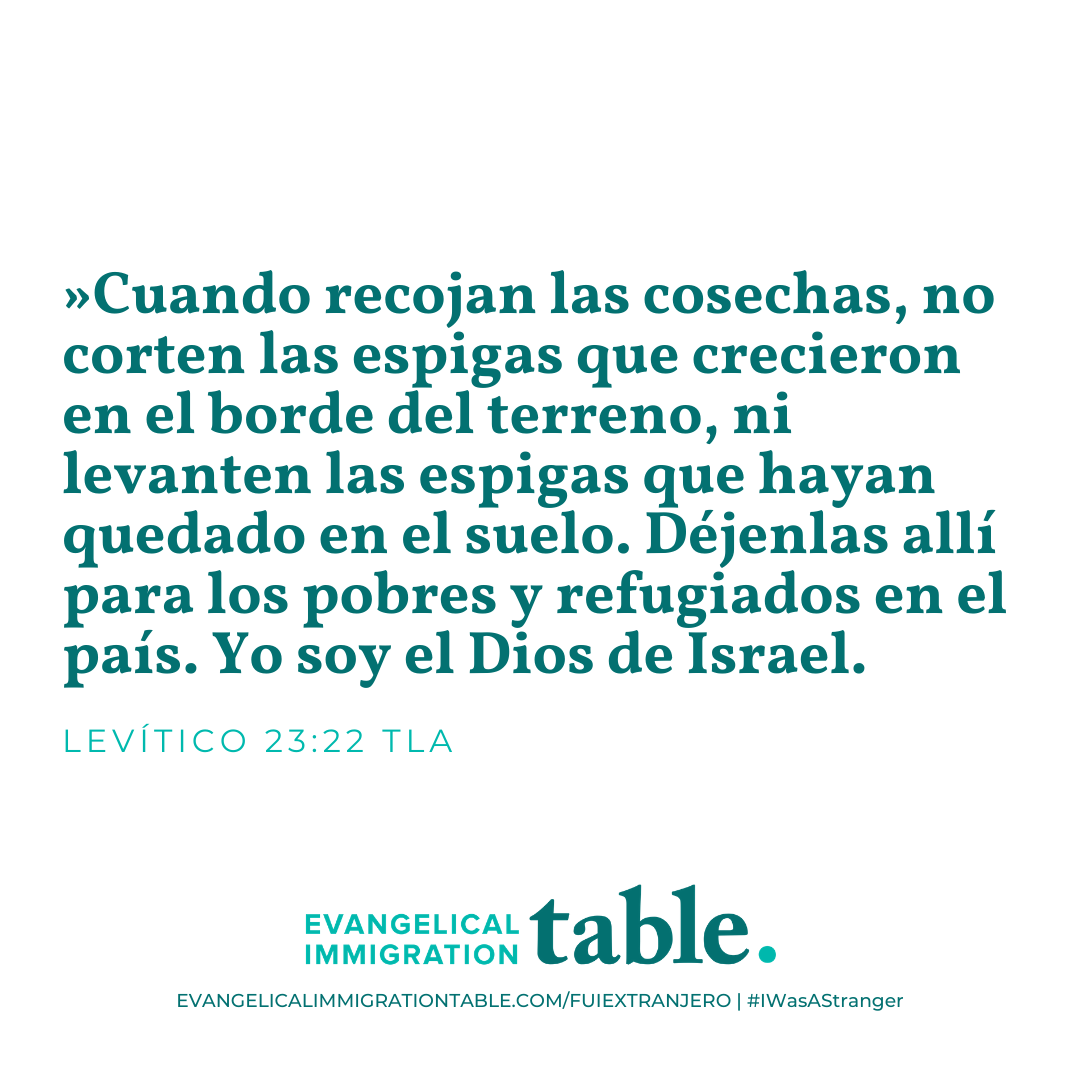 Día 8