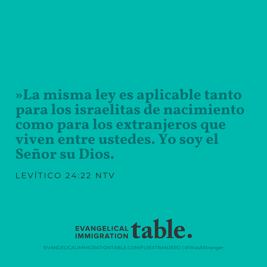 Día 9
